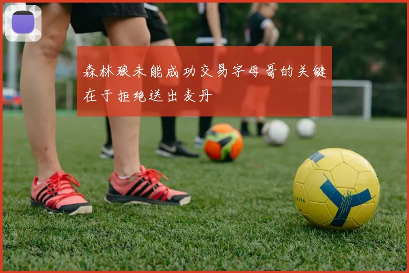森林狼未能成功交易字母哥的关键在于拒绝送出麦丹