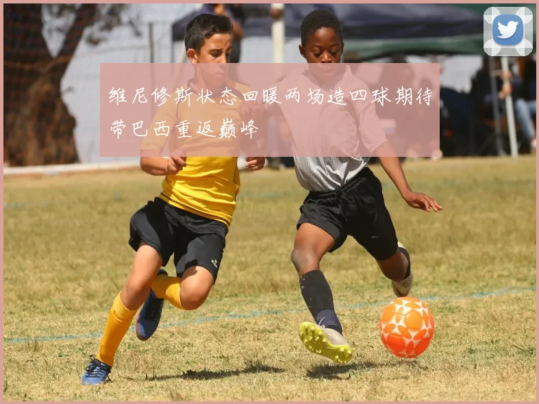 维尼修斯状态回暖两场造四球期待带巴西重返巅峰