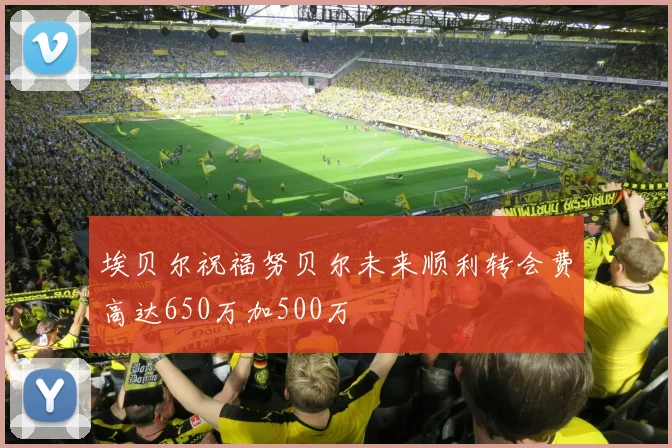 埃贝尔祝福努贝尔未来顺利转会费高达650万加500万
