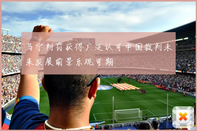 马宁判罚获得广泛认可中国裁判未来发展前景乐观可期