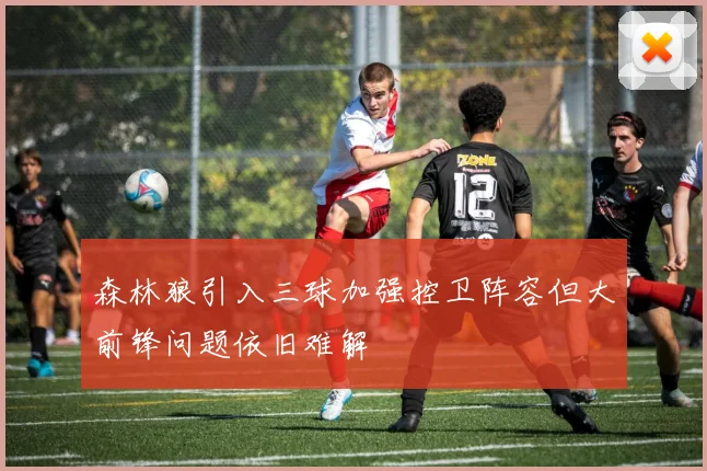 森林狼引入三球加强控卫阵容但大前锋问题依旧难解