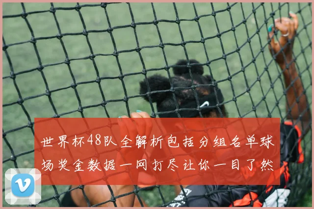 世界杯48队全解析包括分组名单球场奖金数据一网打尽让你一目了然