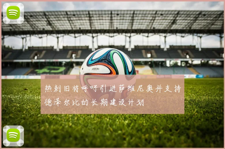 热刺旧将呼吁引进萨维尼奥并支持德泽尔比的长期建设计划